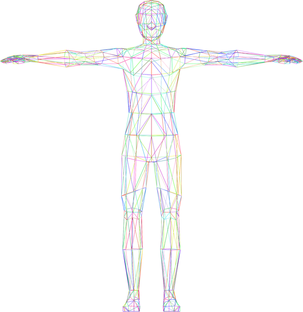 人体の全体図